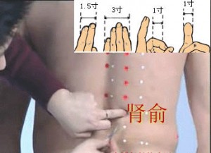 Point Shen Shu Point 23V