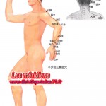 Liste des meridiens de la médecine chinoise