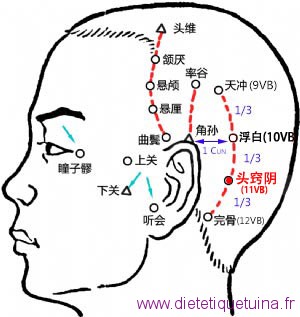 Le point Tou Qiao Yin du méridien de la vésicule biliaire (11VB)