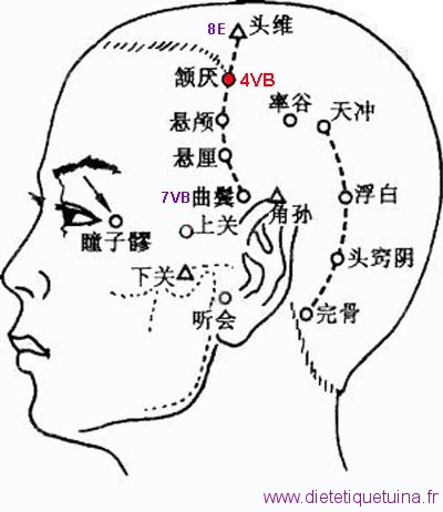 Le point Han Yan du méridien de la vésicule biliaire (4VB)