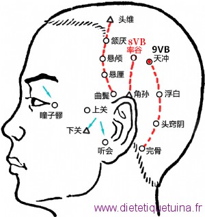 Le point Tian Chong du méridien de la vésicule biliaire (9VB)