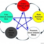 La théorie des cinq éléments