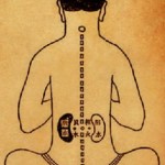 Organes et entrailles en médecine chinoise