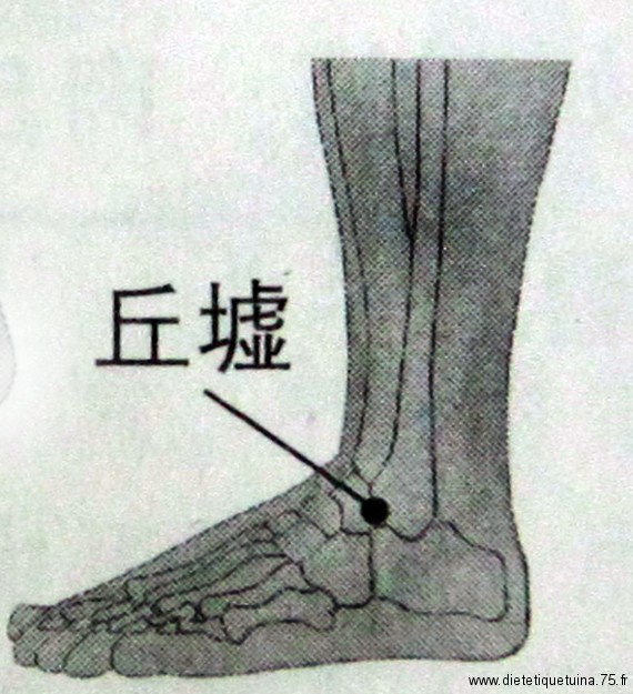 Le point Qiu Xu du méridien de la vésicule biliaire (40VB)
