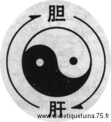 La vésicule biliaire Yang et le foie Yin