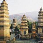 Voyage en chine: forêt des pagodes