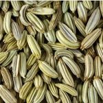 Les bienfaits de la graine de fenouil (Xiao Hui Xiang)