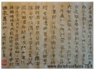 Les cinq "points Shu antiques" de la médecine chinoise