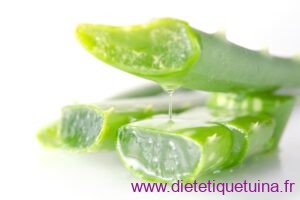 aloe verra