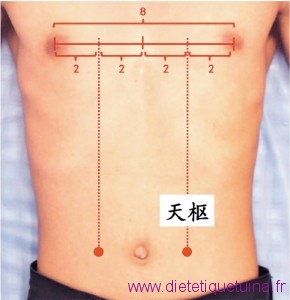 Le 25ème point du méridien de l'estomac (25E)