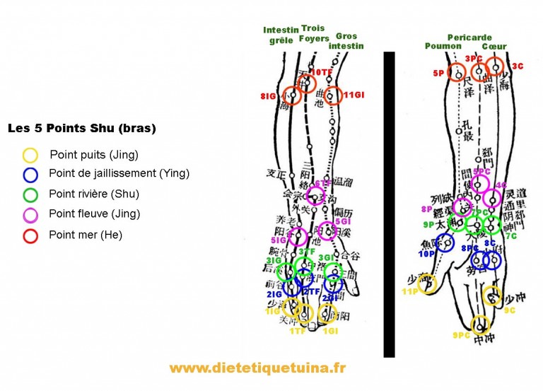 Les points Shu antiques connéctés aux 5 éléments | Médecine chinoise