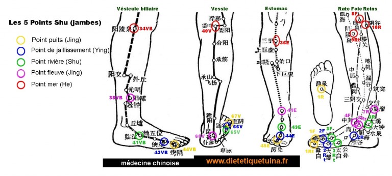 Les points Shu antiques connéctés aux 5 éléments | Médecine chinoise