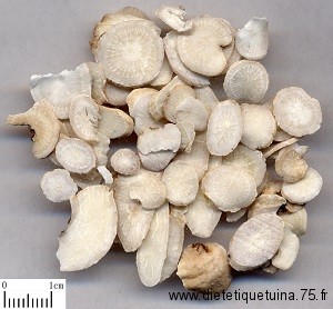 La racine de pivoine blanche (Bai Shao)