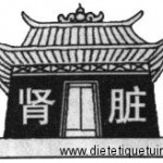 Organes et entrailles en médecine chinoise