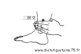 Le point San Yin Jiao du méridien de la Rate (6Rt)