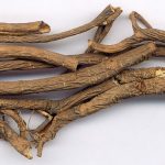 Herbes qui chassent le vent - humidité