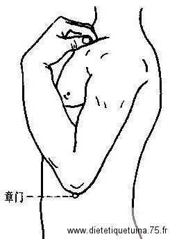 Le point Zhang Men du méridien du foie (13F)